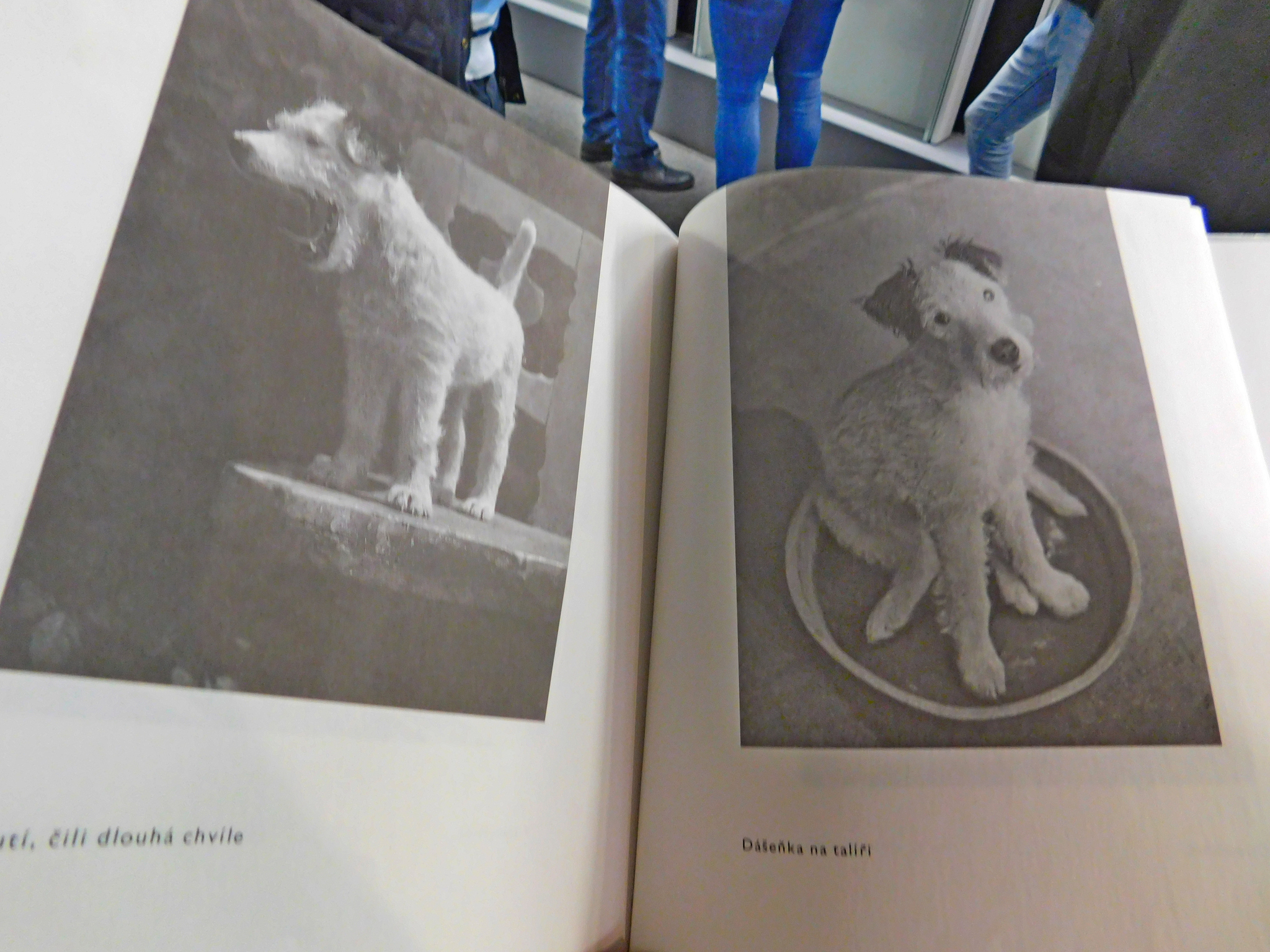 Čehu literatūras klasiķis Karels Čapeks