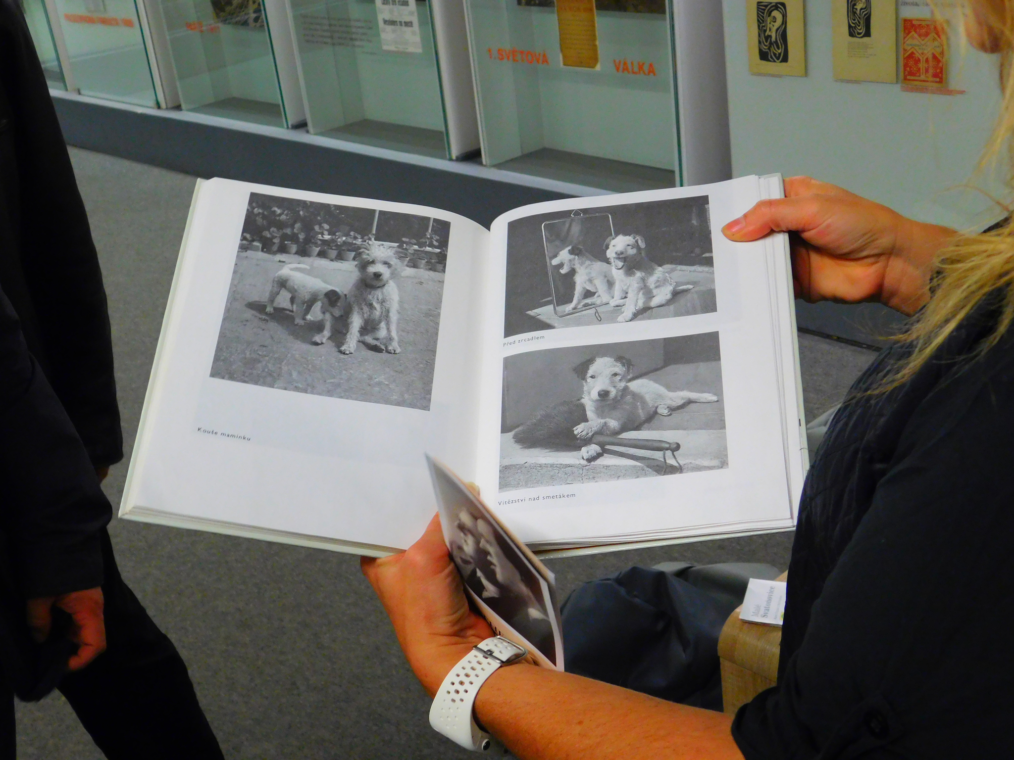 Čehu literatūras klasiķis Karels Čapeks