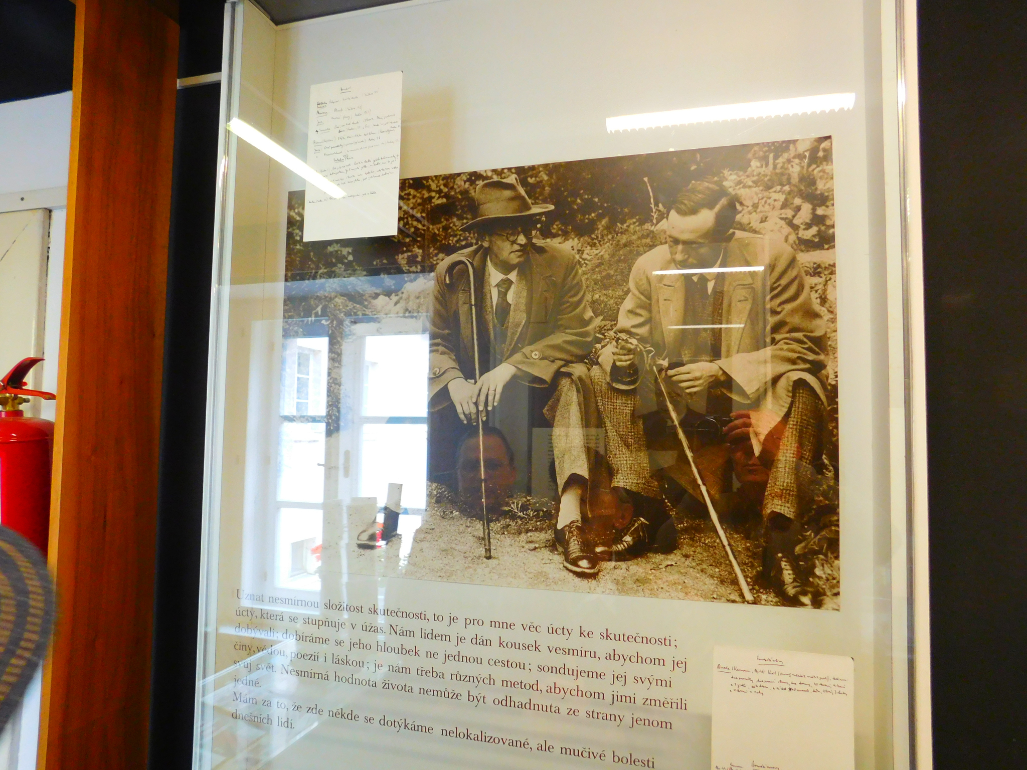 Čehu literatūras klasiķis Karels Čapeks