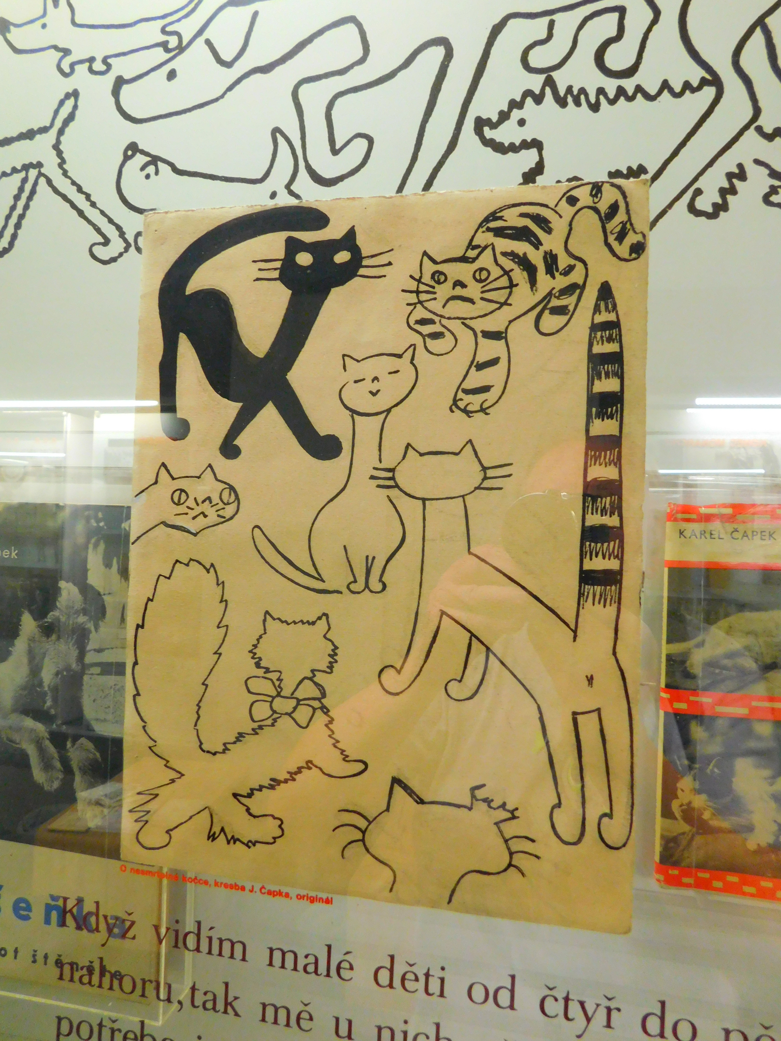 Čehu literatūras klasiķis Karels Čapeks