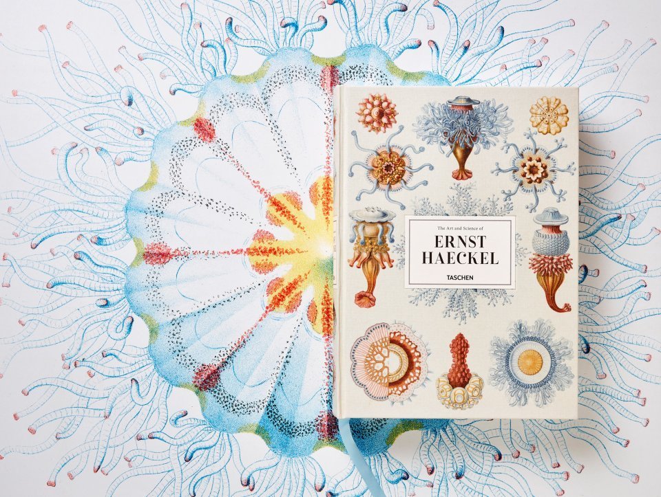 Ernsta Hekela māksla un zinātne. The Art and Science of Ernst Haeckel