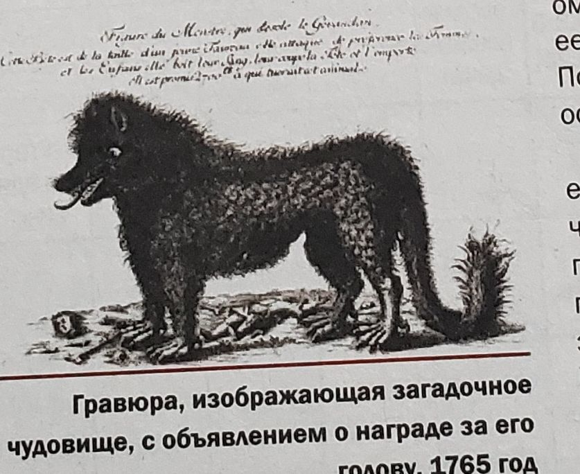 “Kazu vampīra” izgājieni