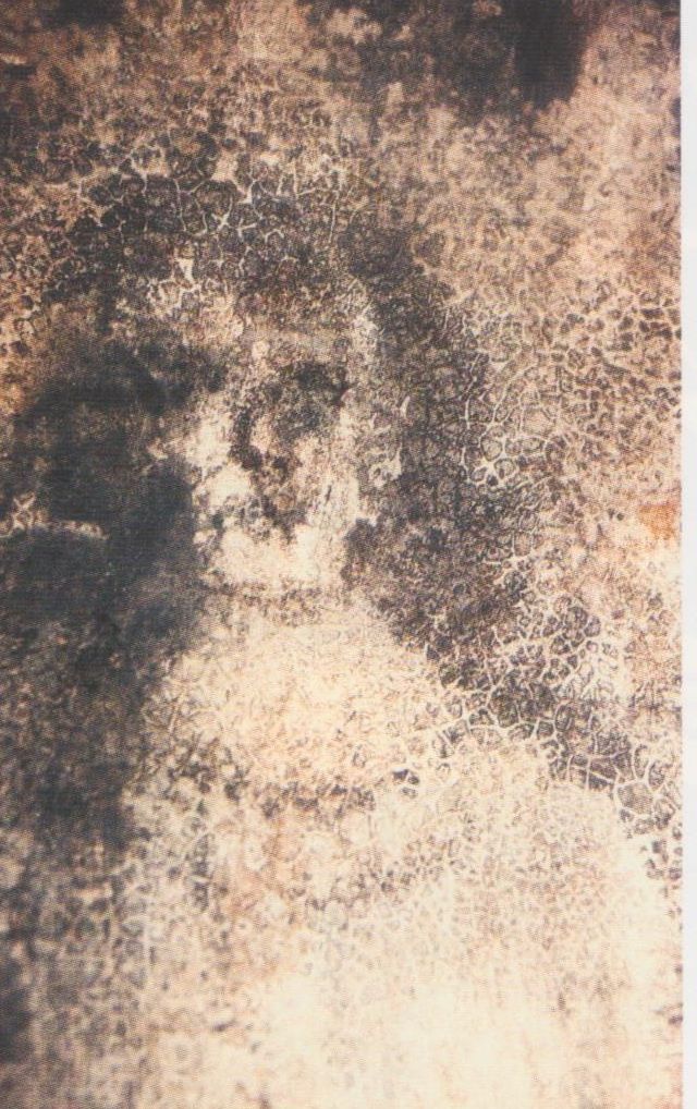 Belmesa sejas