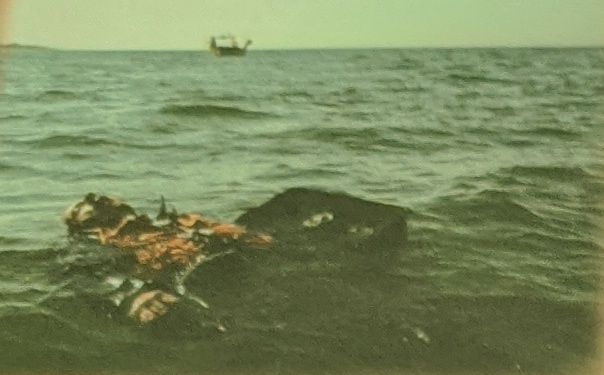 Majors no nekurienes