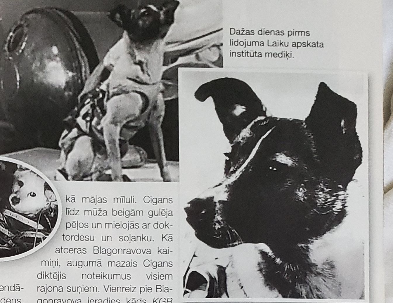 Patiesība par kosmosa suņiem, kuru slēpa 40 gadus