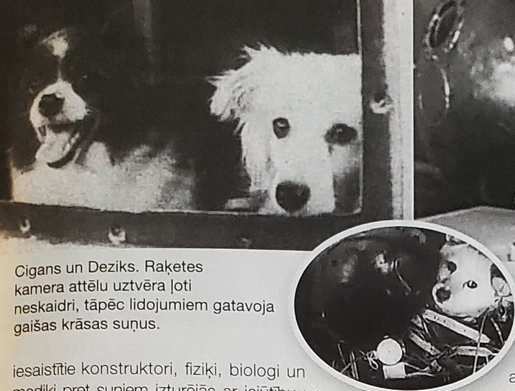 Patiesība par kosmosa suņiem, kuru slēpa 40 gadus