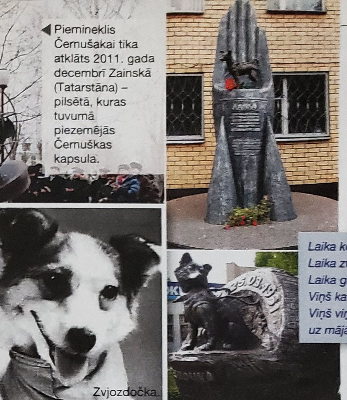 Patiesība par kosmosa suņiem, kuru slēpa 40 gadus