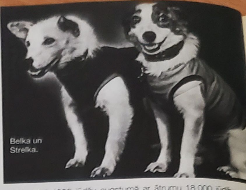 Patiesība par kosmosa suņiem, kuru slēpa 40 gadus