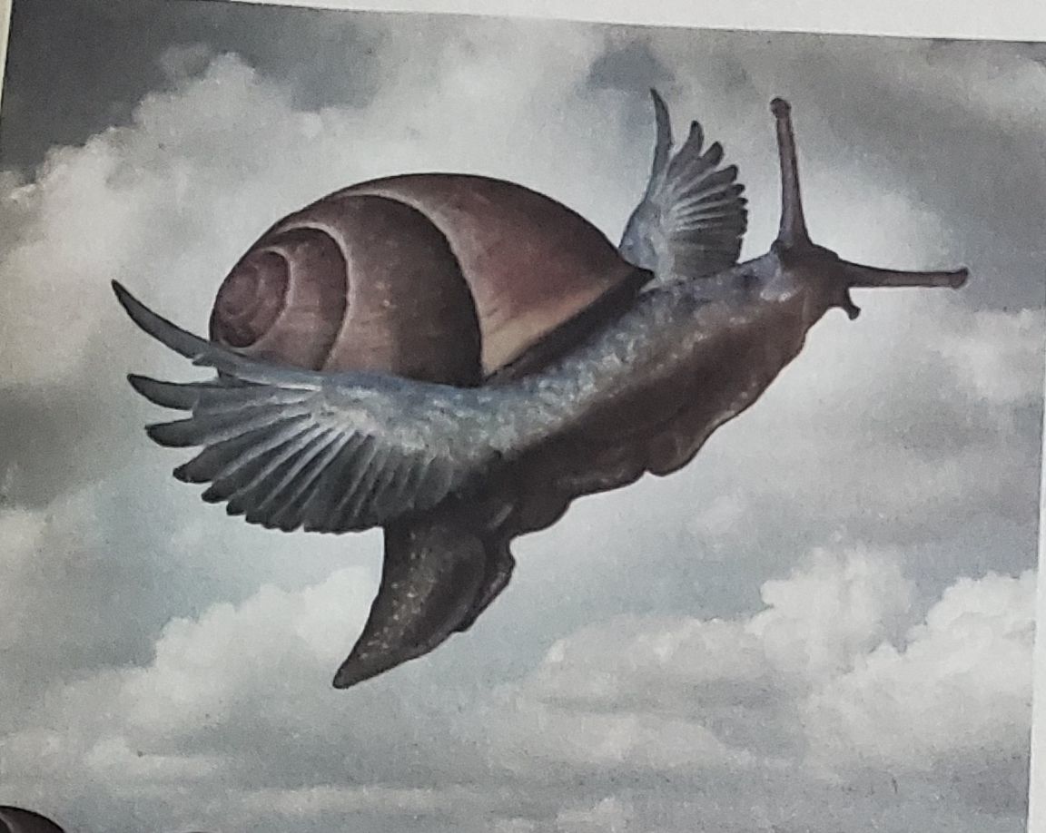 Langedokas zemes noslēpumi