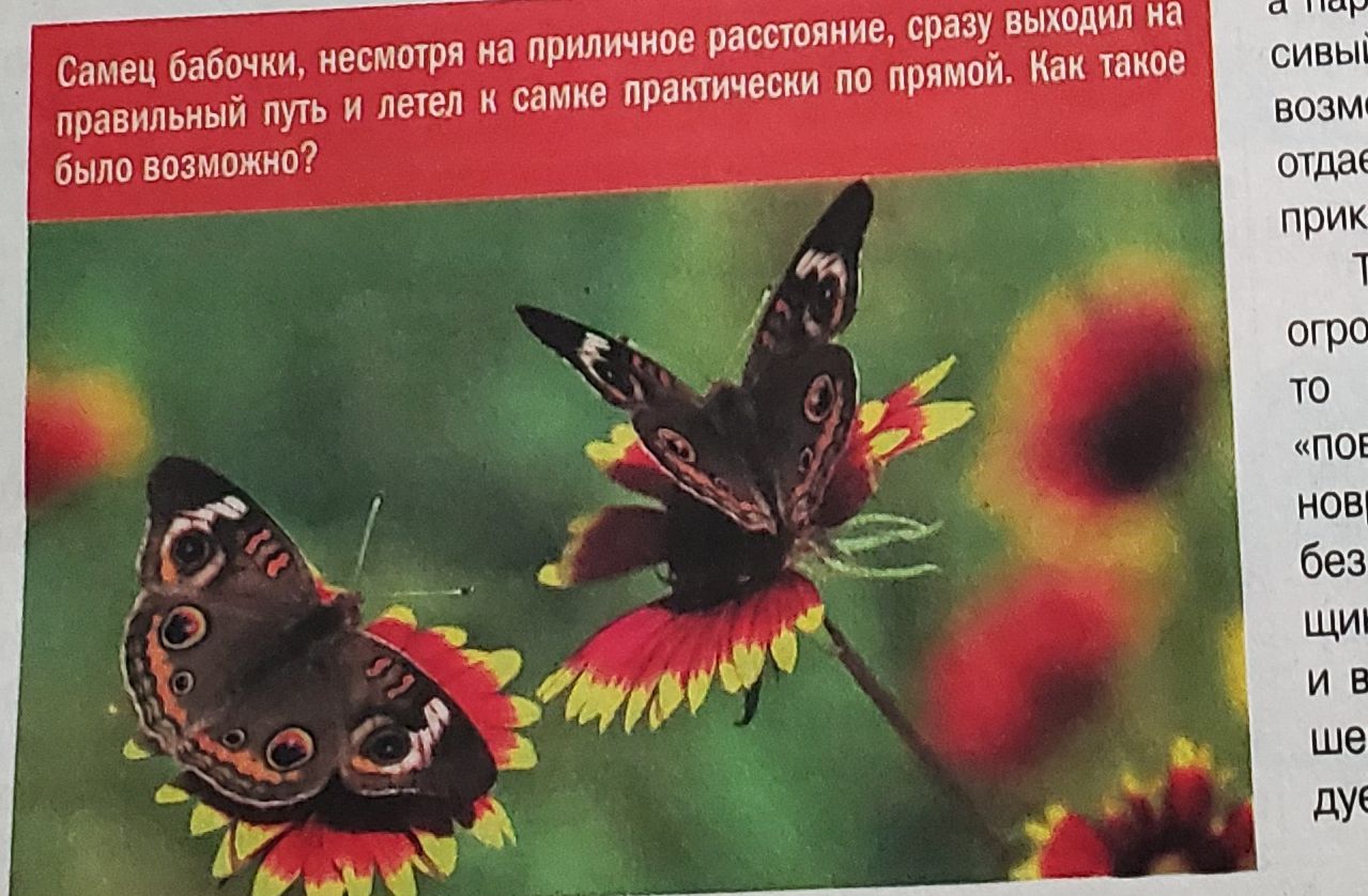 Langedokas zemes noslēpumi