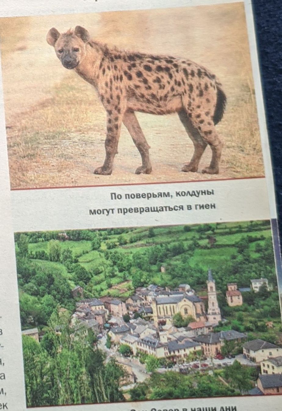 Šie šausmīgie lu-garu
