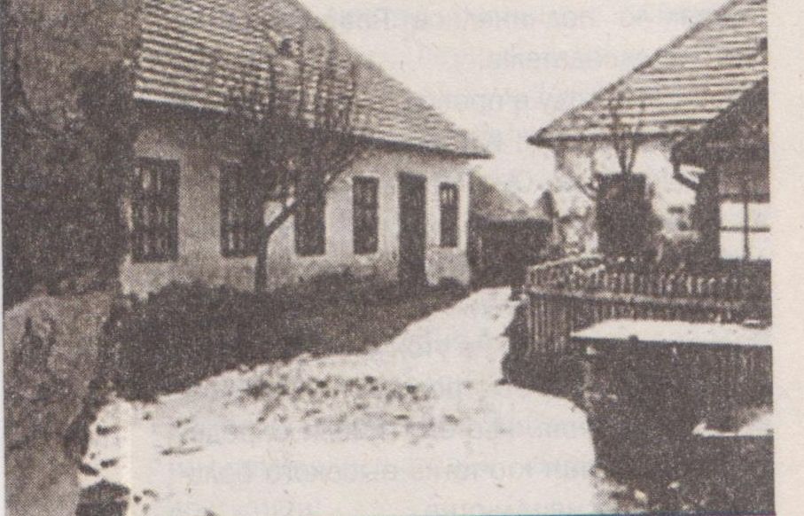 Bela Kišs – vampīrs un sērijveida slepkava
