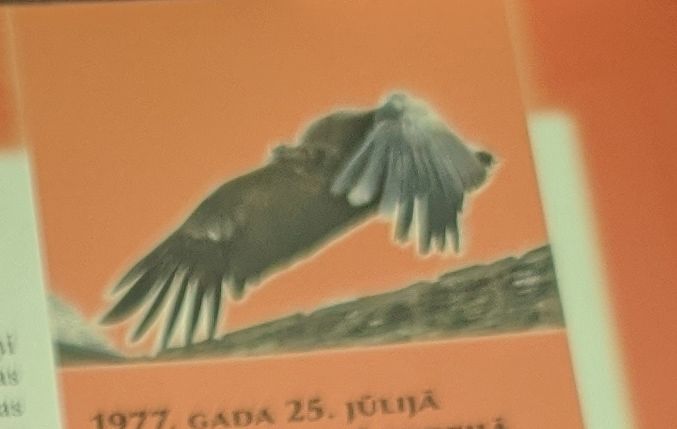Milzīgais putns
