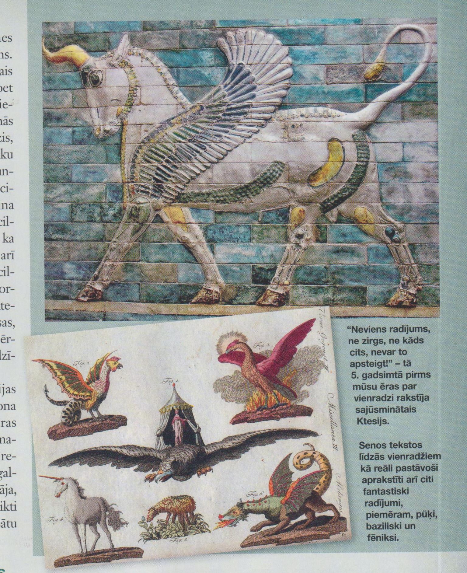 Vienradžu maģija