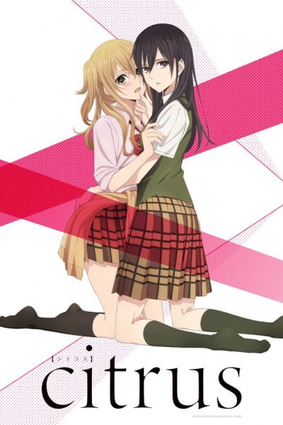Anime, jauns vākums_2