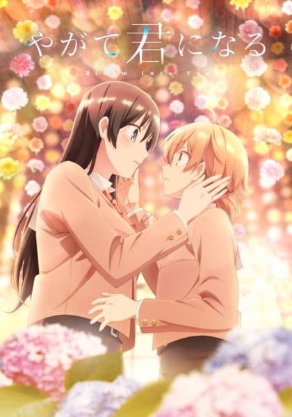 Anime, jauns vākums_2