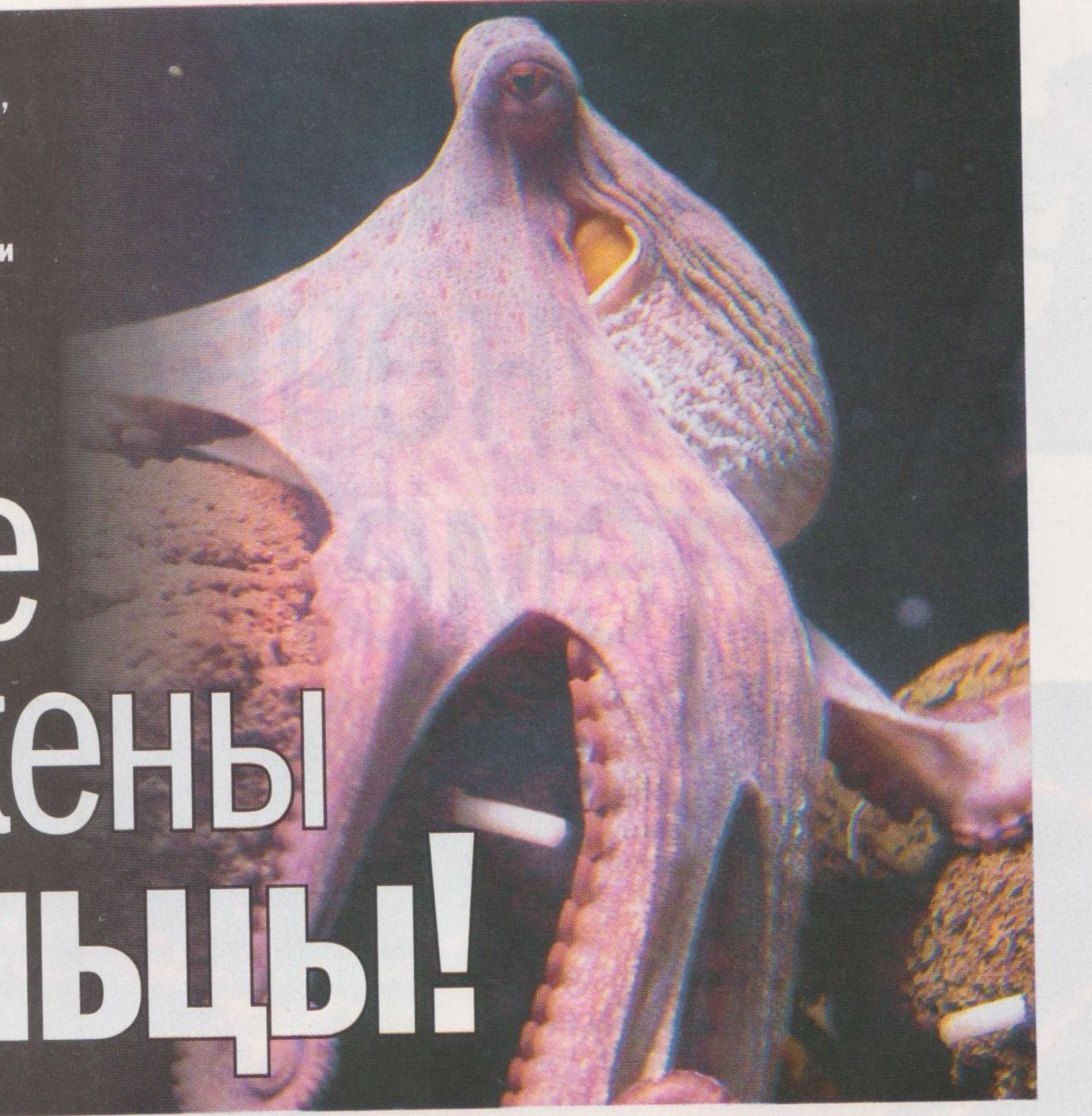 Okeānā atrasti atnācēji!