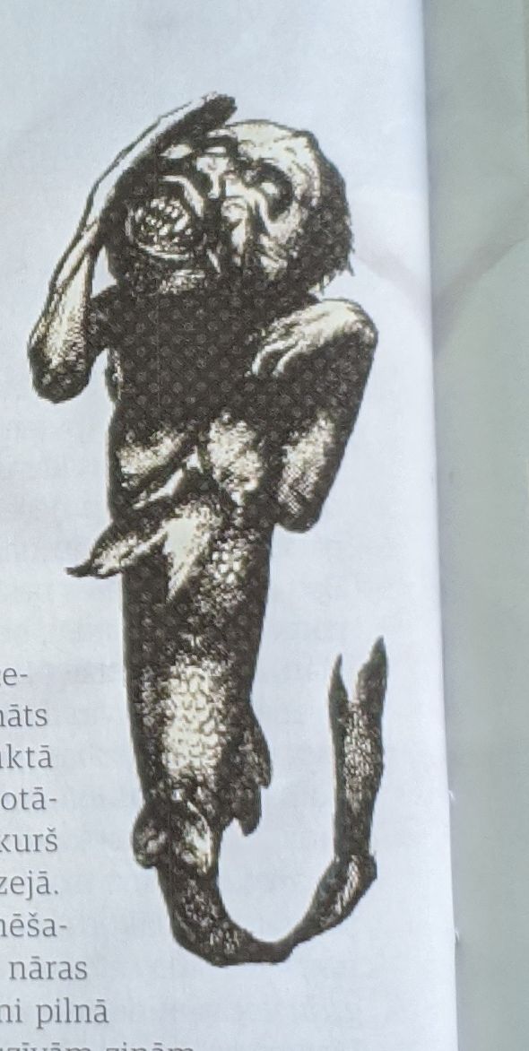 Ņujorkas ostā atrasta nāra