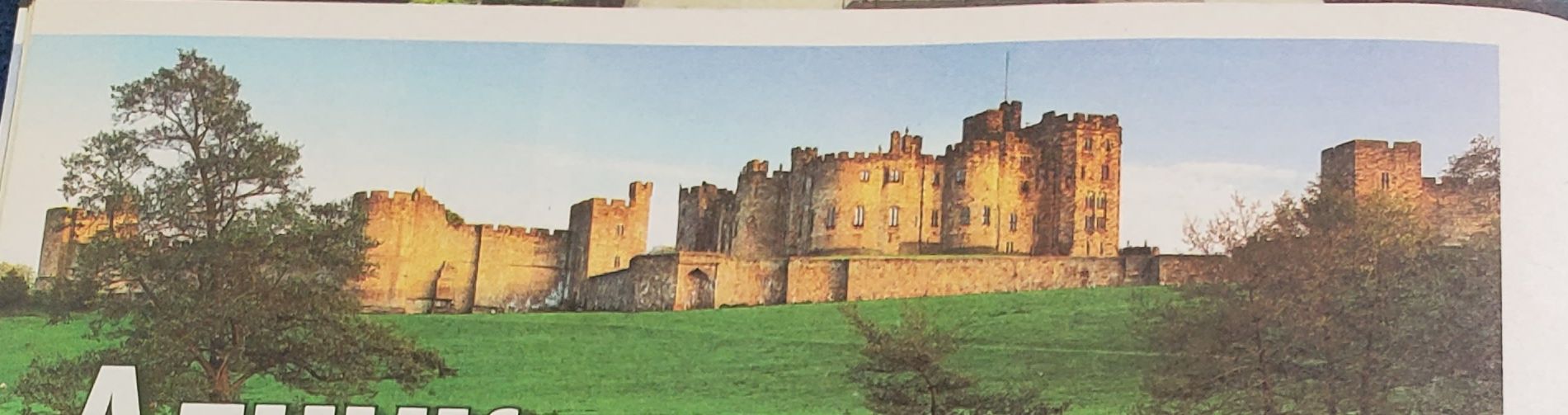 Alnika – Harija Potera skola