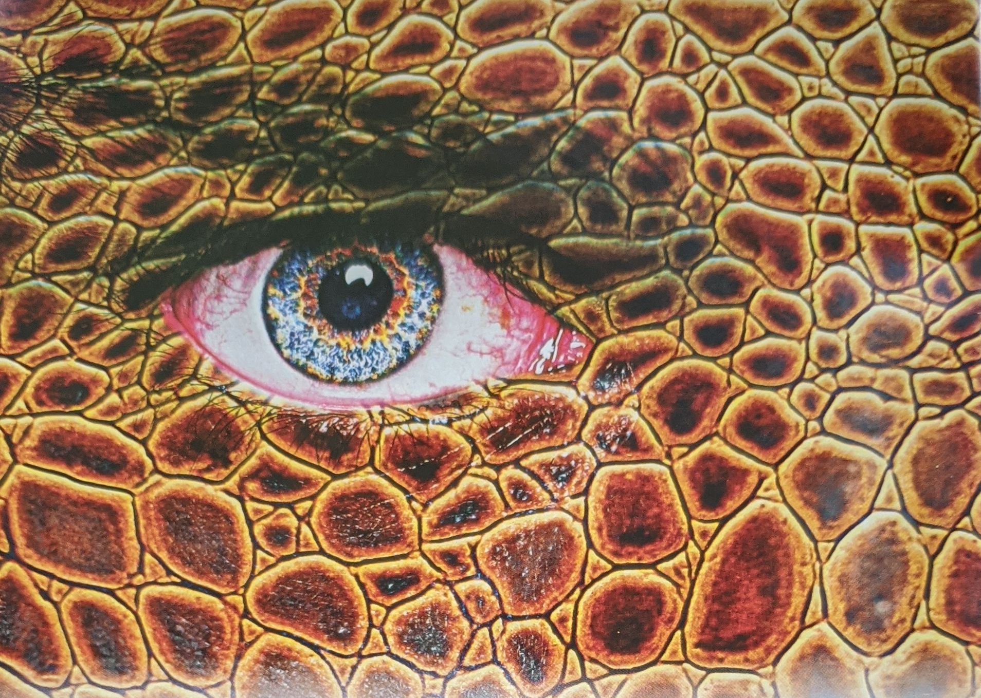 Ķirzakcilvēki tepat starp mums?