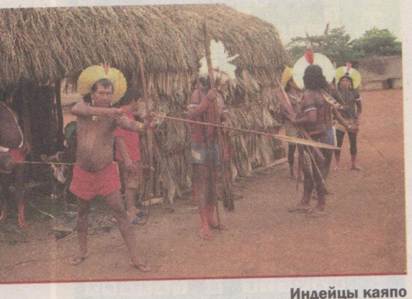 Amazones aborigēni