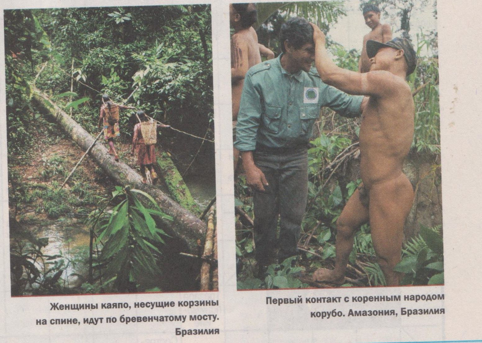 Amazones aborigēni
