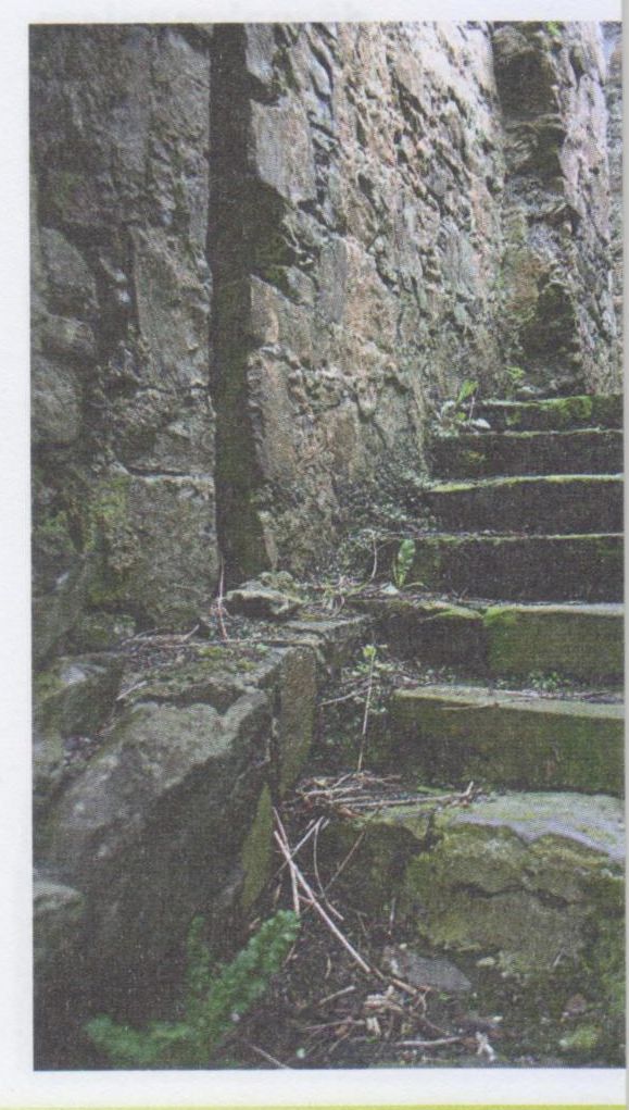 Makleodu klana noslēpumainās relikvijas