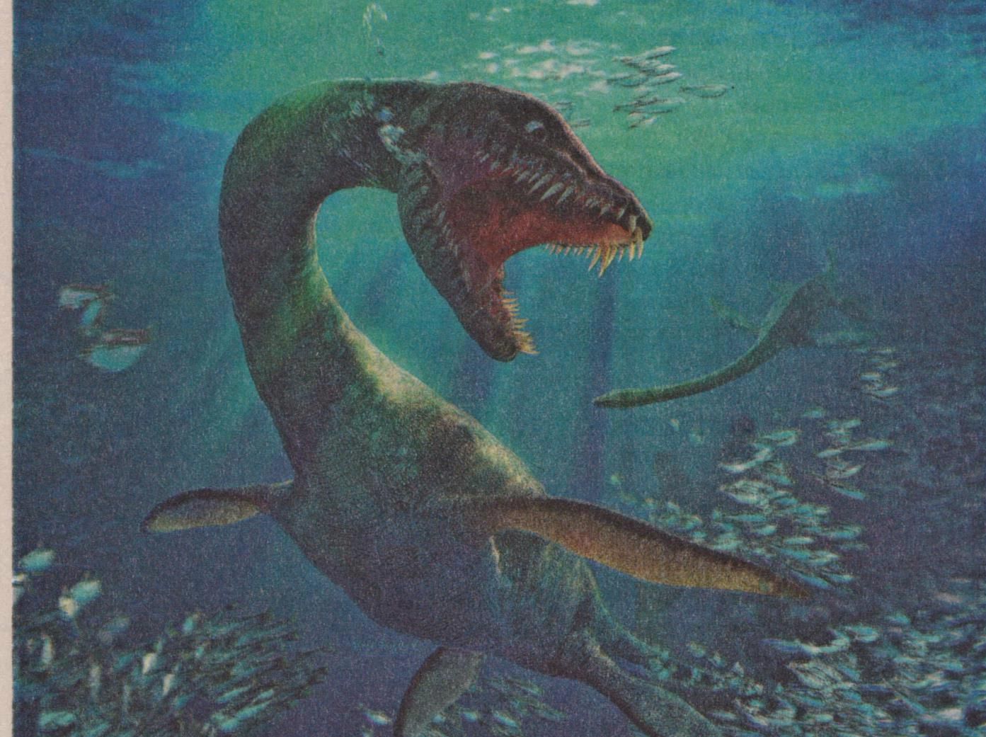 Antarktīdas ķirzakas