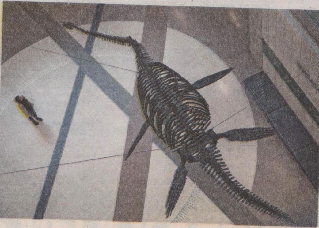 Antarktīdas ķirzakas