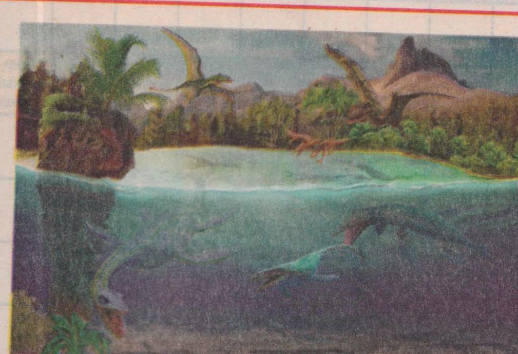 Antarktīdas ķirzakas