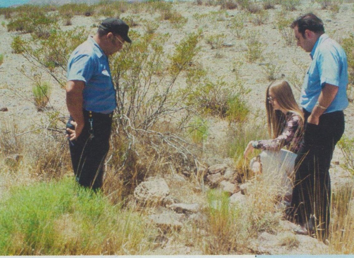 NLO nolaupīto pravietojošie stāsti