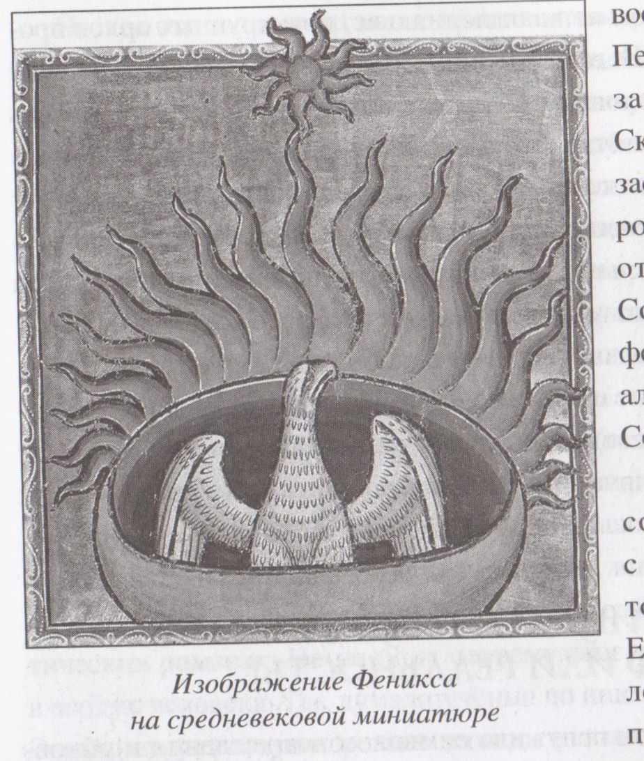 Ugunsputns Fēnikss – mīts vai realitāte? Un cilvēks-pūce un cilvēks-Betmens?