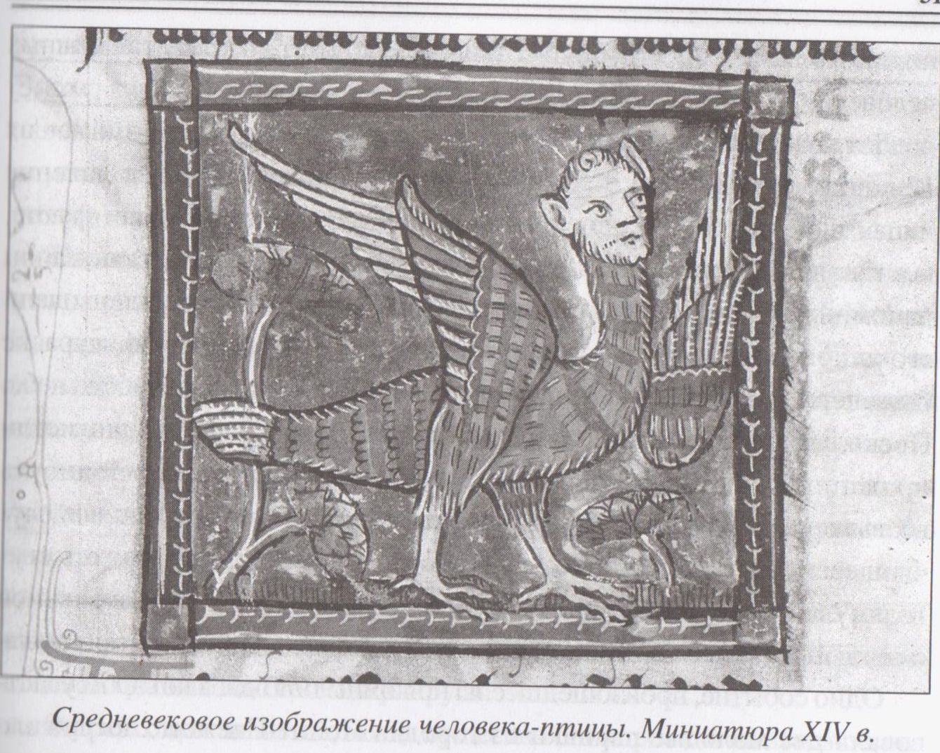 Ugunsputns Fēnikss – mīts vai realitāte? Un cilvēks-pūce un cilvēks-Betmens?