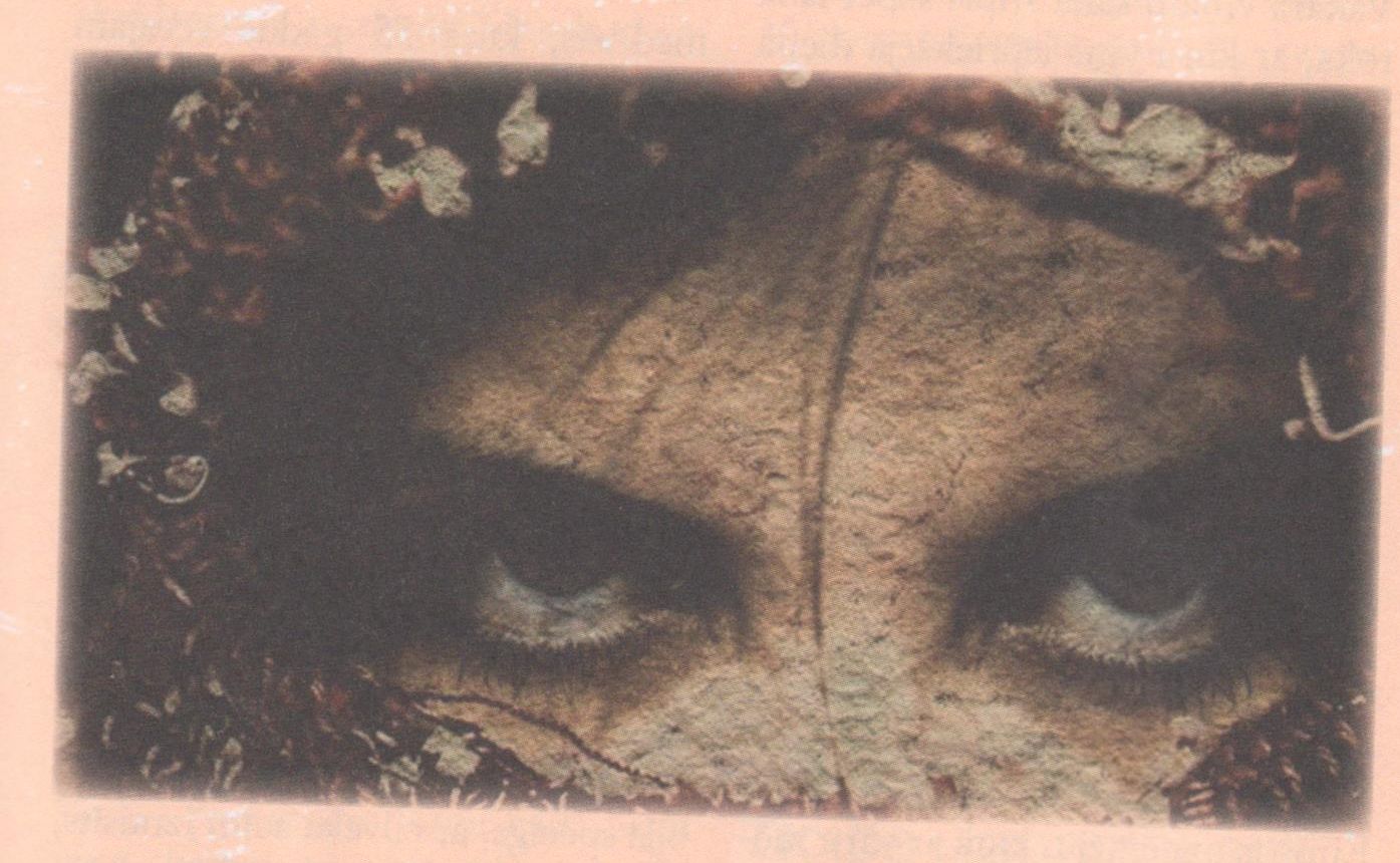 Baziliska briesmīgais skatiens