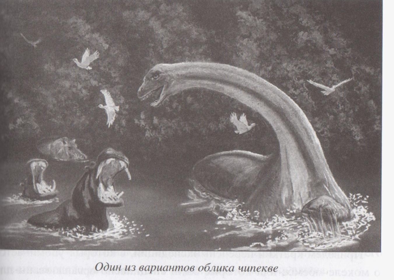 Pa Mansijskas anakondas pēdām