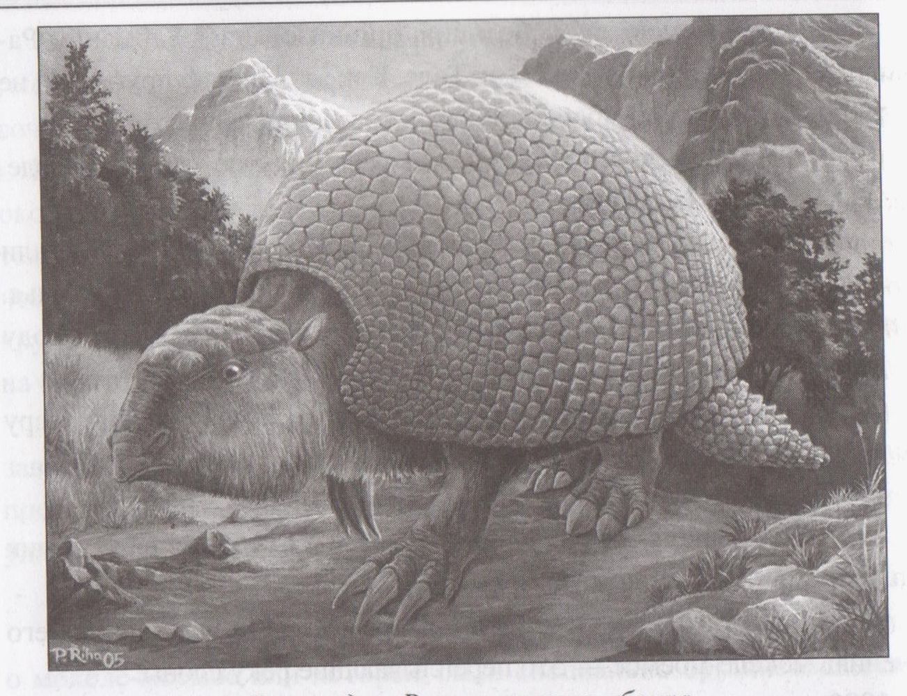 Pa Mansijskas anakondas pēdām