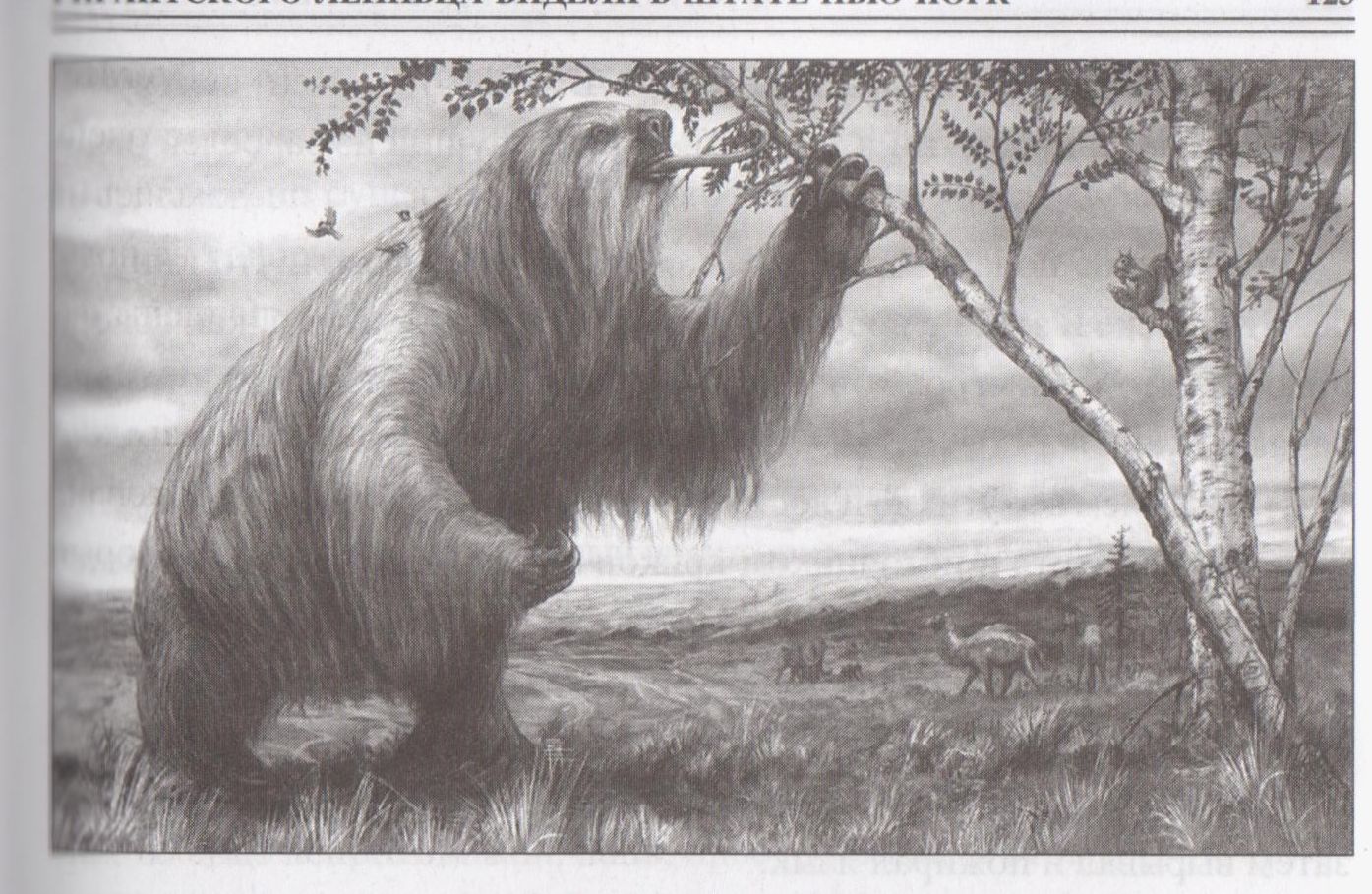 Pa Mansijskas anakondas pēdām