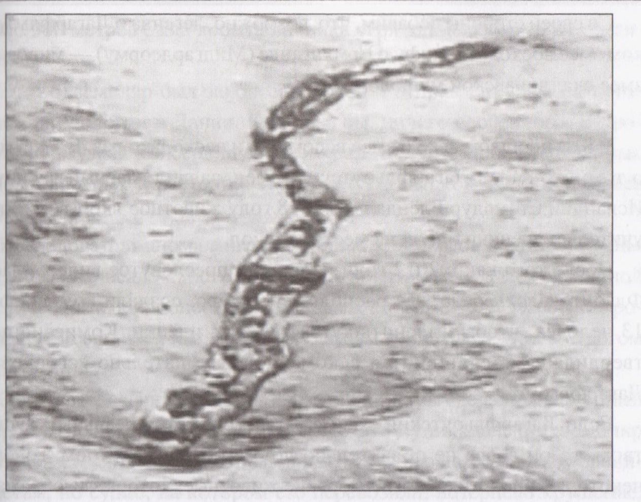 Lagarfloutas čūska