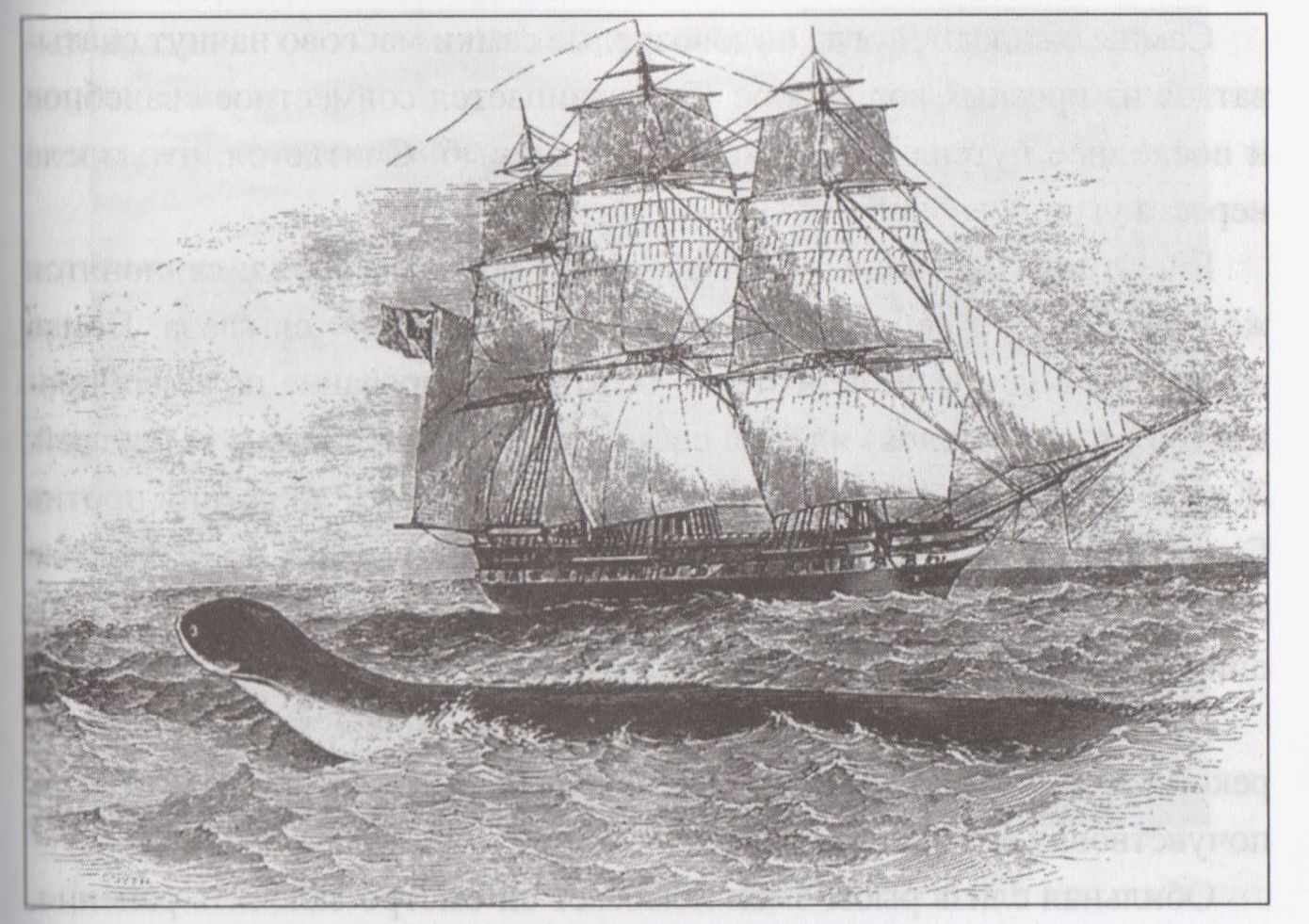 Lagarfloutas čūska