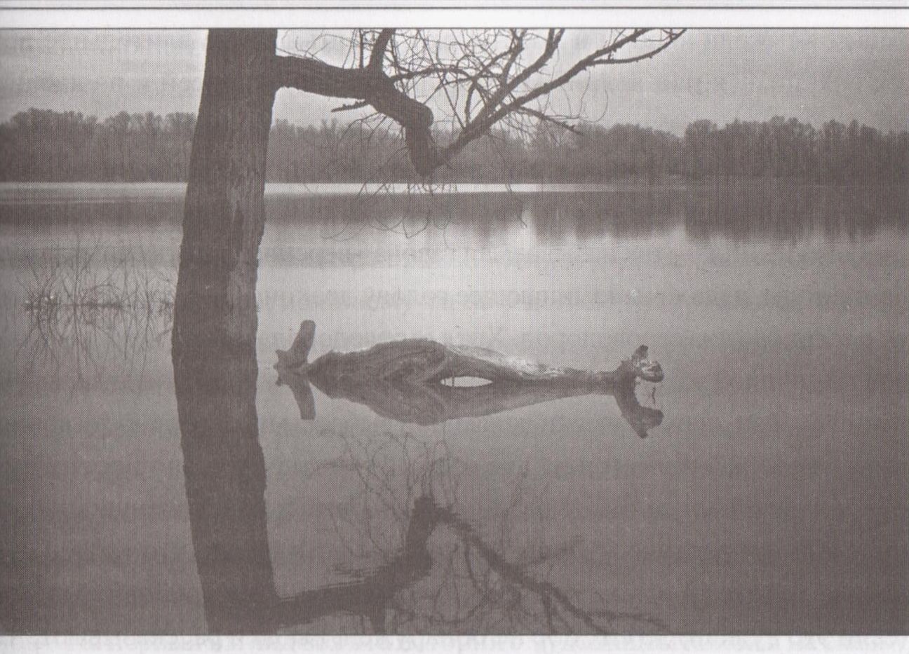 Lagarfloutas čūska