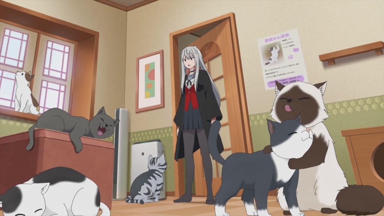 Pārāk mīļa krīze. Kawaisugi Crisis