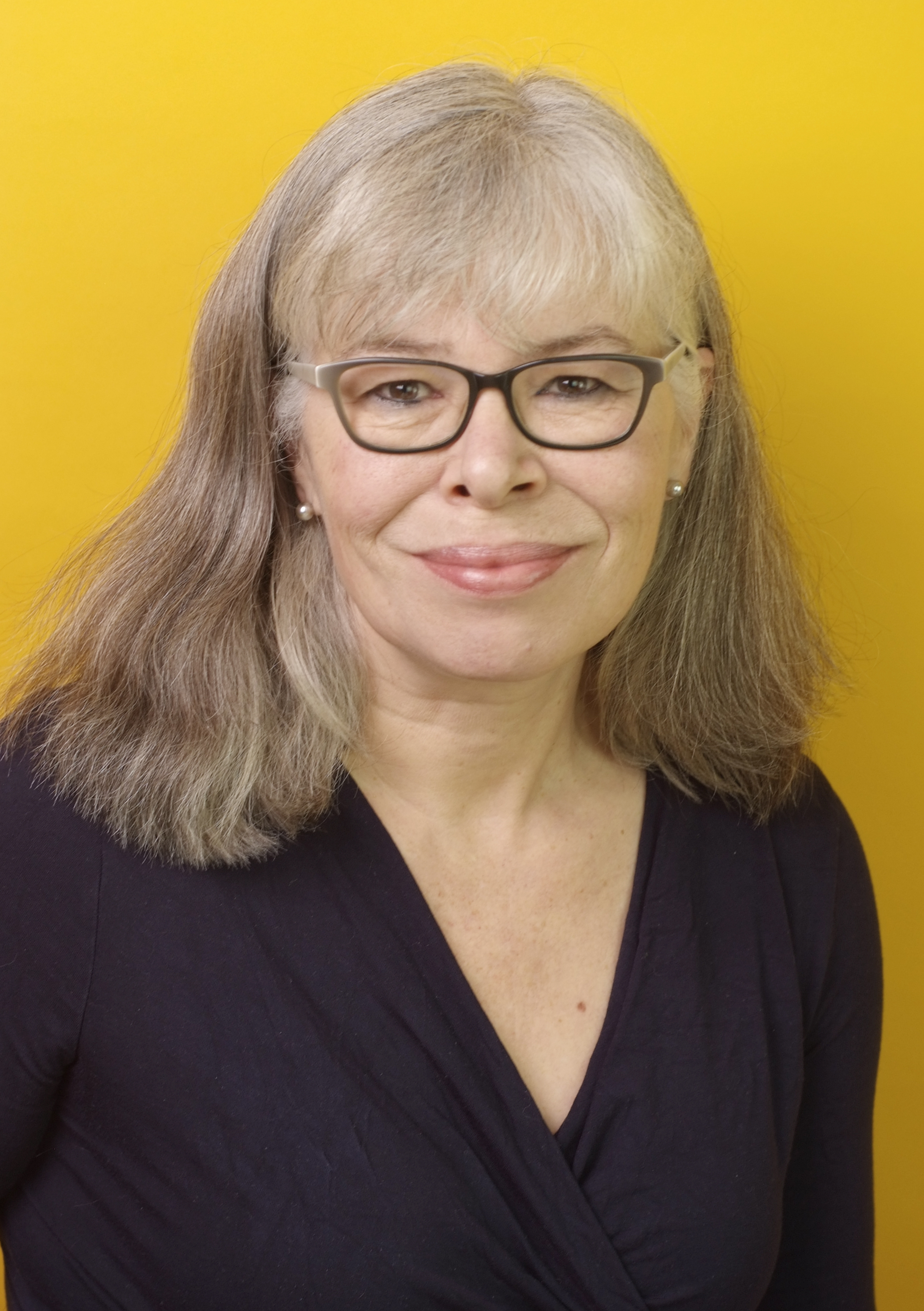 Kvestomānija. Bilžu mīklu grāmatas