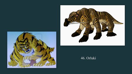 46-orluks